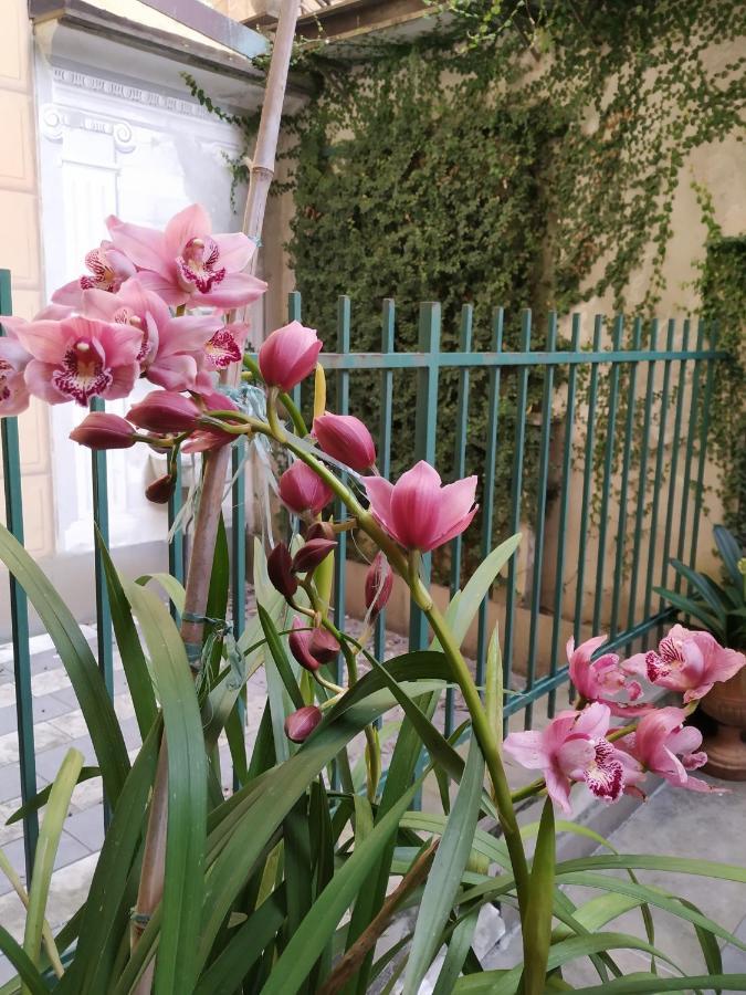 Appartement La Priaguea - House Beach à Camogli Extérieur photo